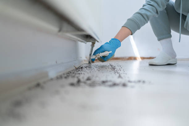 Professional Pest Control in South Charleston, WV